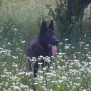 ���� Vlad, ������ - ��������� 26 ���� 2013 � ������ ���λ