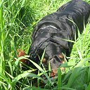 ���� ����, ������ - ��������� 29 ������ 2013 � ������ �������