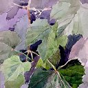 ���� ����, �������, 40 ��� - ��������� 12 ������� 2012 � ������ ��� ������