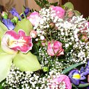 ���� Katkas, �������, 45 ��� - ��������� 5 ������ 2009 � ������ ���������