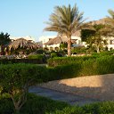 ���� ���, ������ - ��������� 26 �������� 2010 � ������ �������, ����-2010�