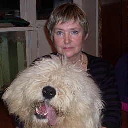 ���� ���������, �����-���������, 78 ��� - ��������� 8 ���� 2012