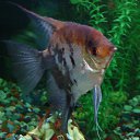 ���� �����, ���������, 58 ��� - ��������� 4 ������ 2013 � ������ ���� ����������