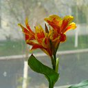 ���� Katkas, �������, 45 ��� - ��������� 5 ������ 2009 � ������ ���������