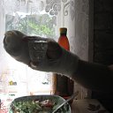 ���� ������, �����, 52 ���� - ��������� 18 ���� 2012 � ������ ���� ����������