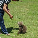 ���� ������, ��� - ��������� 18 ������ 2012