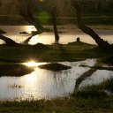 ��� ������, ��� ����� ������... �� ������� ��������� � ��������