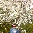 ���� �������, ������, 62 ���� - ��������� 17 ���� 2013