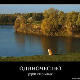 ���� ���� (������ �����), ������� - ��������� 9 ������� 2011