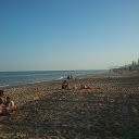 �������� 2013