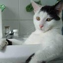 ���� �����, �������, 56 ��� - ��������� 3 ���� 2011 � ������ �����