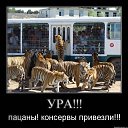 ���� Sem...&reg;&trade; (����) ������������, ������-��-����, 40 ��� - ��������� 22 ������ 2010 � ������ ���������