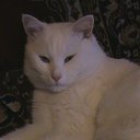 ���� ���������, ������ - ��������� 11 ������ 2009 � ������ ���� �����