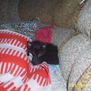 ���� ���������, ����������, 35 ��� - ��������� 26 ������ 2011 � ������ ���������=)�