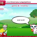 ���� Nikola, �����, 43 ���� - ��������� 19 ������ 2010 � ������ �PetLove�