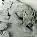 ���� ������� :����� �����!!!, ������������ - ��������� 4 ������� 2012 � ������ �������