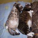 ���� �������, �����-���������, 61 ��� - ��������� 24 ���� 2013