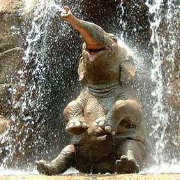 ������, ���������