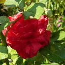 ���� ��������, ������ - ��������� 23 ������� 2010 � ������ �������