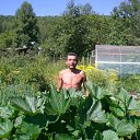 ���� ������, ��������, 62 ���� - ��������� 3 ������� 2012 � ������ ���� ����������