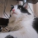 ���� Lavr, ����������, 50 ��� - ��������� 11 ����� 2012