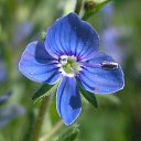 ���� ��������, ����� - ��������� 22 ������� 2009 � ������ ���� �������� ��������