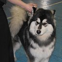 ���� ���������, ����-���, 67 ��� - ��������� 12 ��� 2012 � ������ ���� ����������