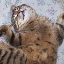 ���� �����, �������, 59 ��� - ��������� 2 ���� 2013 � ������ ����� ��� ������������