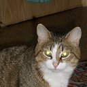 ���� ���, ������, 24 ���� - ��������� 5 ������ 2010