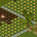 ���� ������, ������ - ��������� 7 �������� 2012 � ������ �Tropikania�