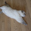 ���� ����, ���������, 37 ��� - ��������� 25 ������ 2012