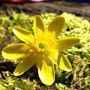 ���� ������, ����, 39 ��� - ��������� 23 ��� 2010