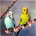 ���� ��� ����� :D, ����� - ��������� 2 ������� 2012 � ������ ���� ����������