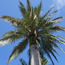 ���� ���������, ��������, 70 ��� - ��������� 14 ��� 2012 � ������ �������