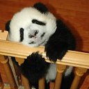 ���� ����. ��������� �� ��!, ������, 72 ���� - ��������� 9 ���� 2011 � ������ ��������߻