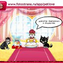 ���� �������!, �����������, 26 ��� - ��������� 14 ������� 2011 � ������ �PetLove�