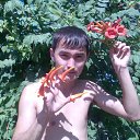 ���� �����, ���������, 39 ��� - ��������� 31 ������� 2011