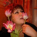 ���� �����, �������� - ��������� 6 ��� 2012 � ������ ���� ����������