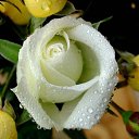 ���� ~Ann&ramosh~, ���������� - ��������� 29 �������� 2009 � ������ ������!!!)�