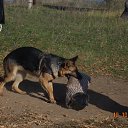 ����� ������� ����� �� ������� �������