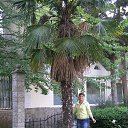 ���� �����, �����������, 55 ��� - ��������� 29 ���� 2013 � ������ ���� ����������