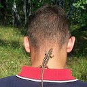 ���� �����, �����������, 38 ��� - ��������� 21 ������� 2012