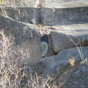 ���� ����, ����������, 35 ��� - ��������� 29 ������ 2011