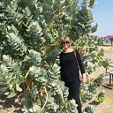 ����� �������� ���� �� ������� ���� ����������