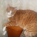 ����� �� ������� �������