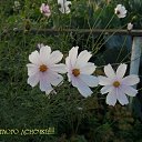 ���� �����, ������ - ��������� 18 ����� 2012 � ������ ���� ����������