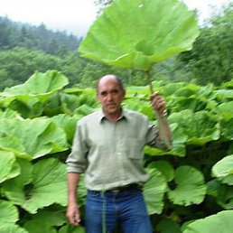 ���� ������, �������, 73 ���� - ��������� 28 ������ 2012