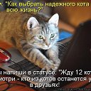 ���� �����, ������� - ��������� 9 ���� 2013 � ������ ������� ���� �������)))�