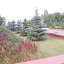 ���� �������, �����, 49 ��� - ��������� 7 ���� 2012 � ������ ������ New�