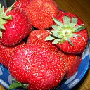 ���� Vytalii, ������ ��������, 59 ��� - ��������� 6 ������ 2010 � ������ �������!�